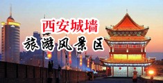 日射多毛浓密中国陕西-西安城墙旅游风景区
